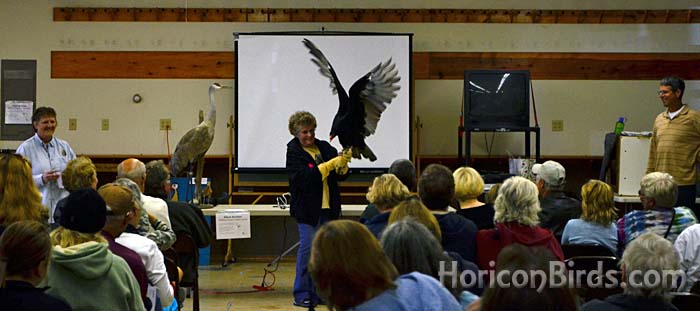 Pat Fisher shows a vulture at the Whooping Crane Festival in Berlin, Wisconsin, 14 September 2013, photo by Pam Rotella