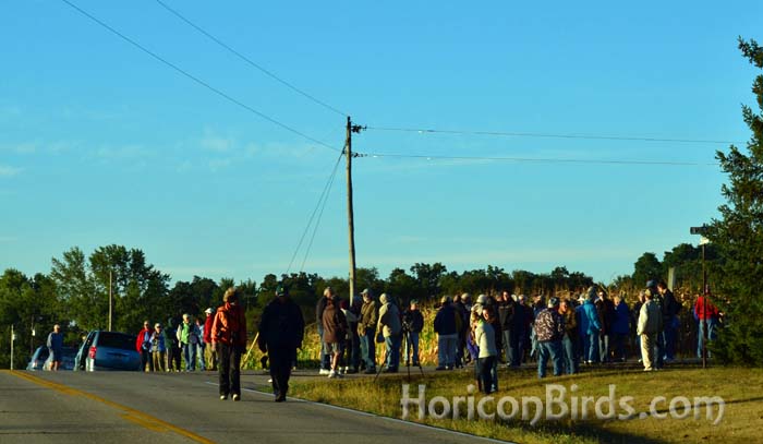 Craniacs gather to watch flight training, 14 September 2013, photo by Pam Rotella