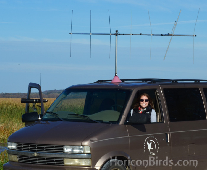 ICF Intern Sara Wendel tracks the DAR whooping cranes at Horicon Marsh, 27 October 2013, photo by Pam Rotella