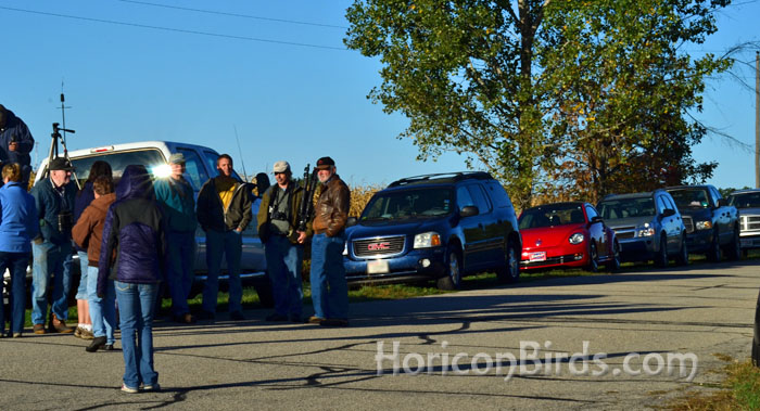 Crane watchers gather to watch the event, 2 October 2013, photo by Pam Rotella